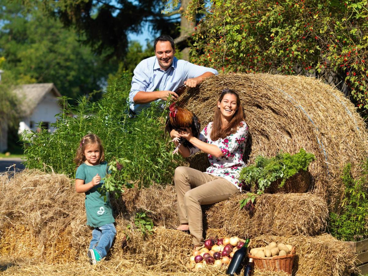 Fruehstueckshaus Wunderland Bed & Breakfast Laa an der Thaya Exterior photo